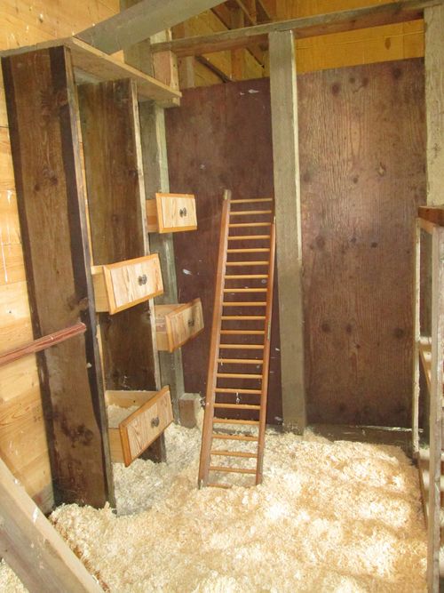 an unfinished room with sheep in it and a ladder leaning against the wall to reach them