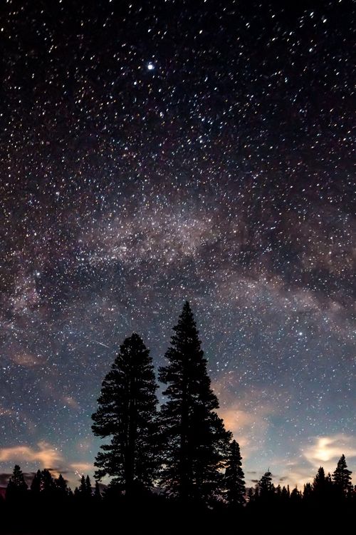 the night sky is filled with stars and trees