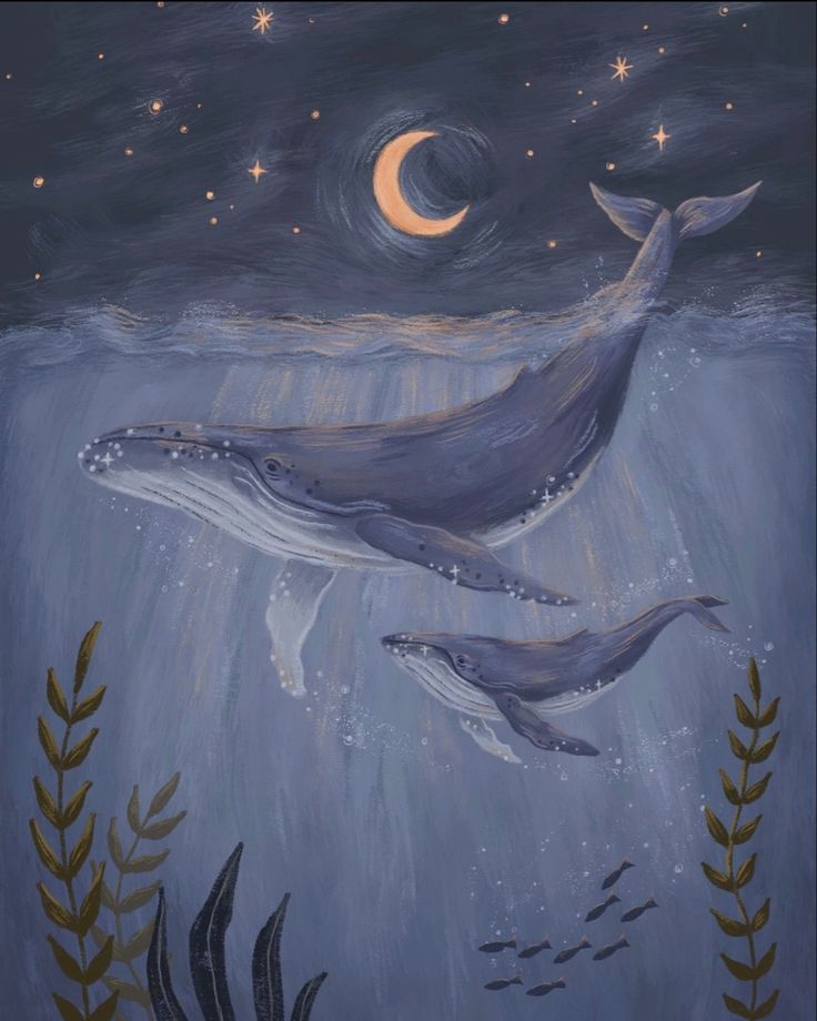 two whales swimming in the ocean at night with stars and moon above them, under water