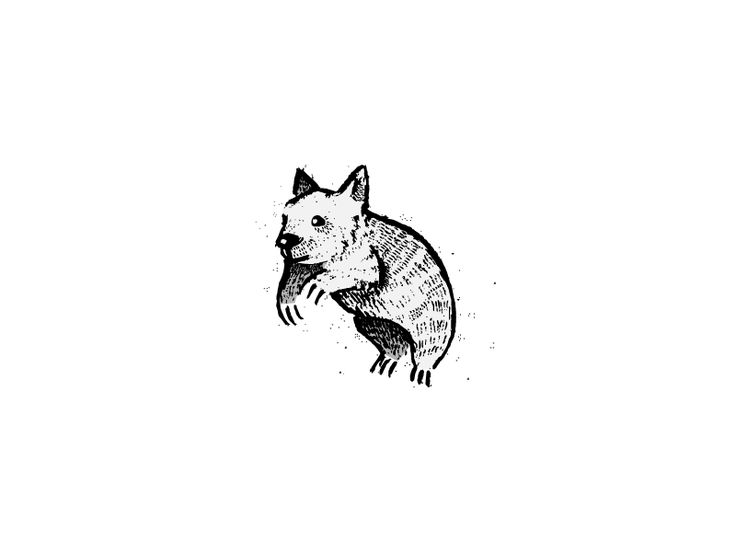 a black and white drawing of a koala