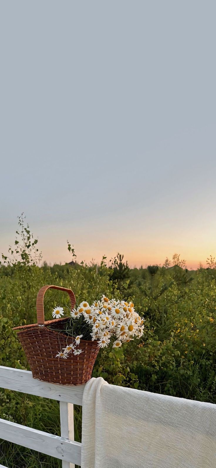 a basket filled with flowers sitting on top of a white fence next to a field