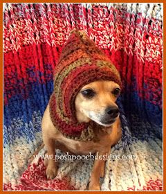 a dog wearing a knitted hat and scarf