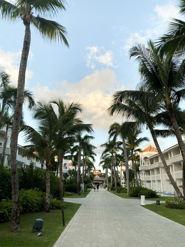 palm trees line the walkway to an apartment complex at sunset or dawn in this tropical setting