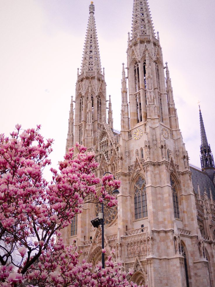 pink flowers are blooming in front of the cathedral