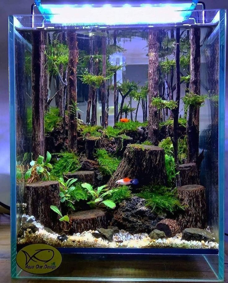 an aquarium filled with plants and trees inside of a glass case on top of a table