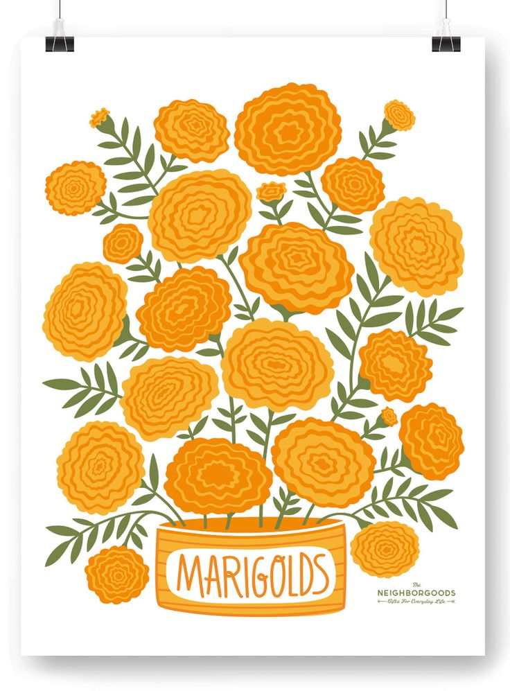 an orange flower pot with yellow flowers and the words marrigods on it