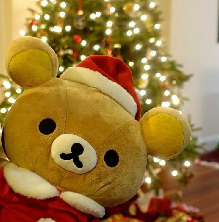 a brown teddy bear wearing a santa hat next to a christmas tree with lights on it