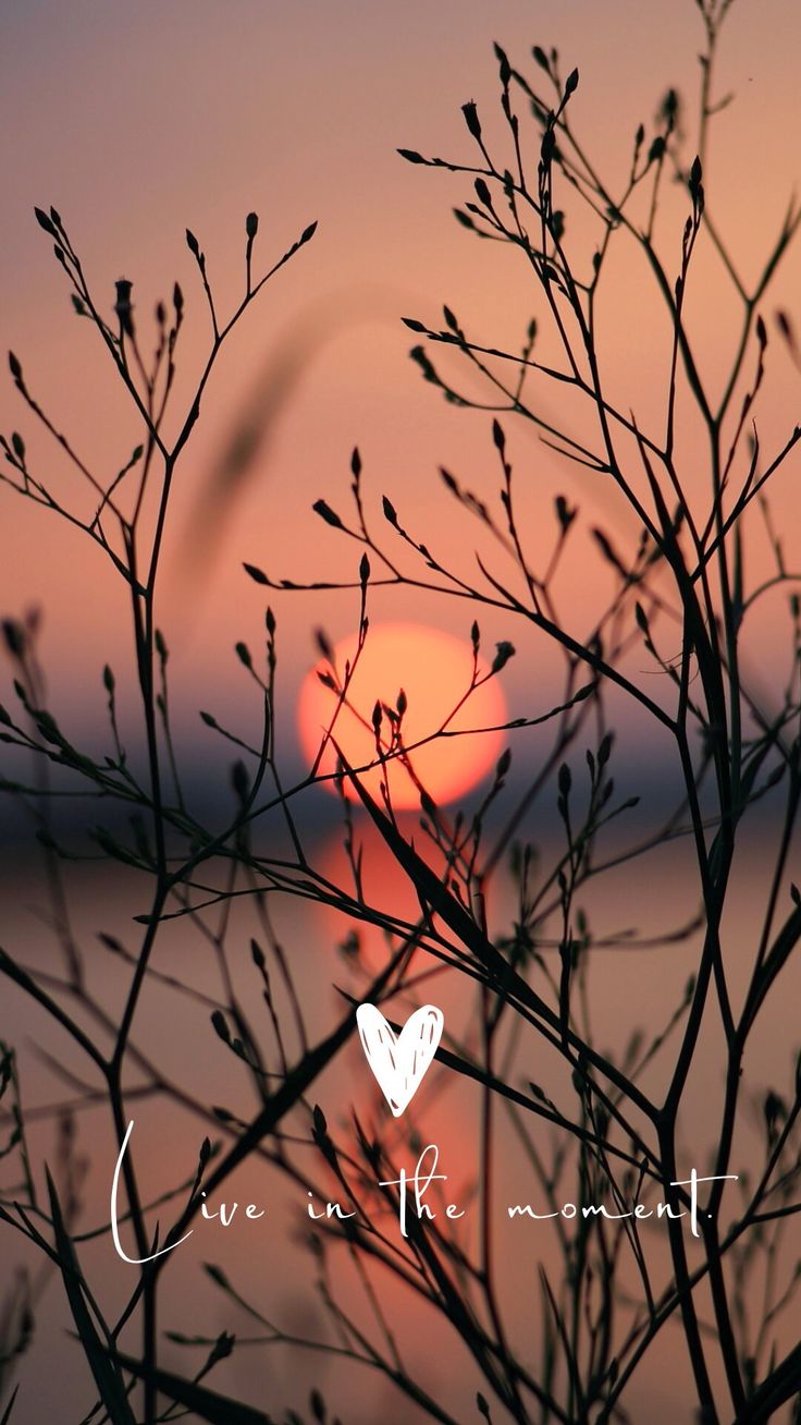 the sun is setting behind some branches