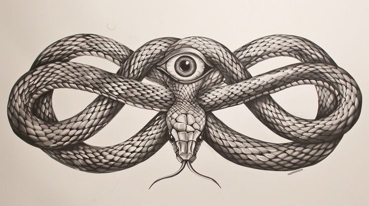 a drawing of a snake with an eye