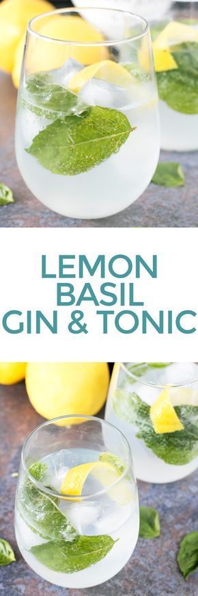 lemon basil gin and tonic cocktail in glasses with mint garnish on the rim