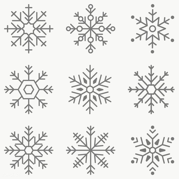 six snowflakes are shown in different styles and sizes, all on white background