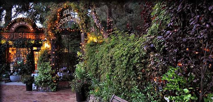 a wooden bench sitting in front of a lush green wall covered with plants and lights