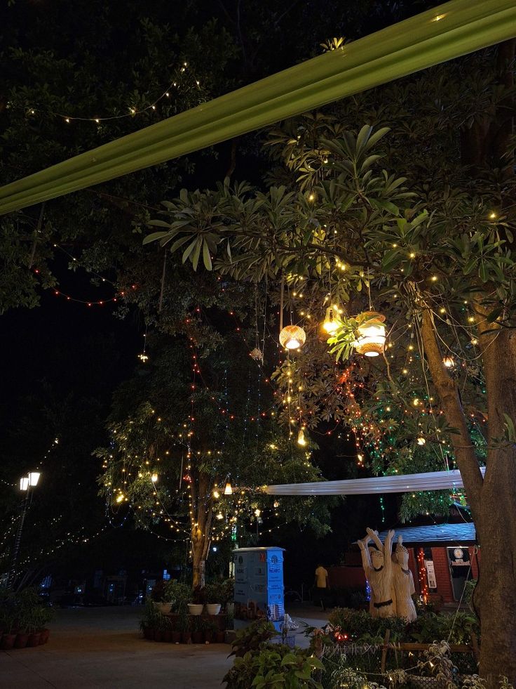 the lights are hanging from the trees in the park at night, and there is no image here to provide a caption for