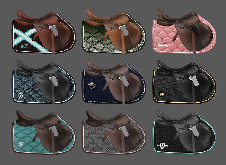 the different saddles for horses are shown in this image, and there is also an additional