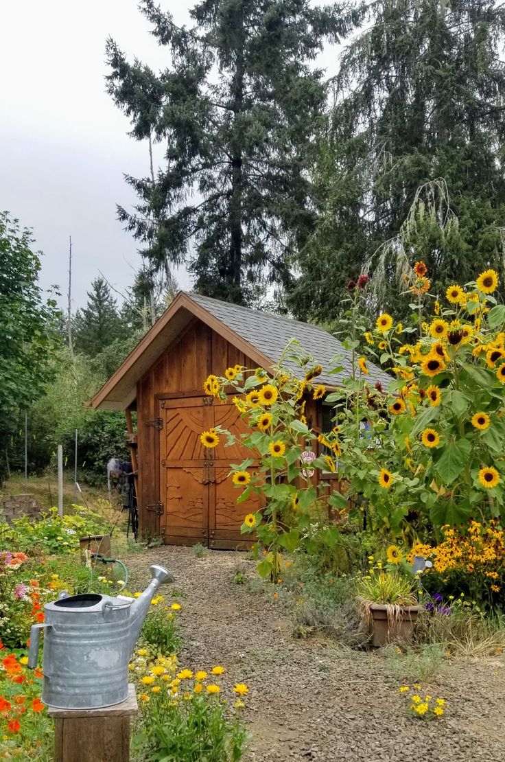 a garden with sunflowers and other flowers next to a shed in the woods