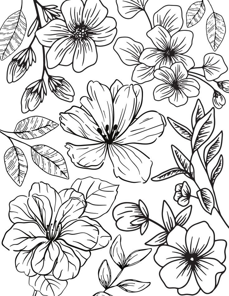 flowers and leaves coloring pages for adults