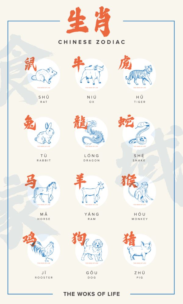 chinese zodiac symbols and their meanings are shown in this graphic style, with the words written below