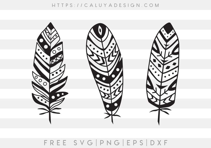 three black and white feathers on a striped background with the text free svng files