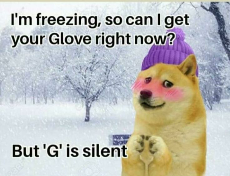 a dog with a purple hat on it's head is standing in the snow