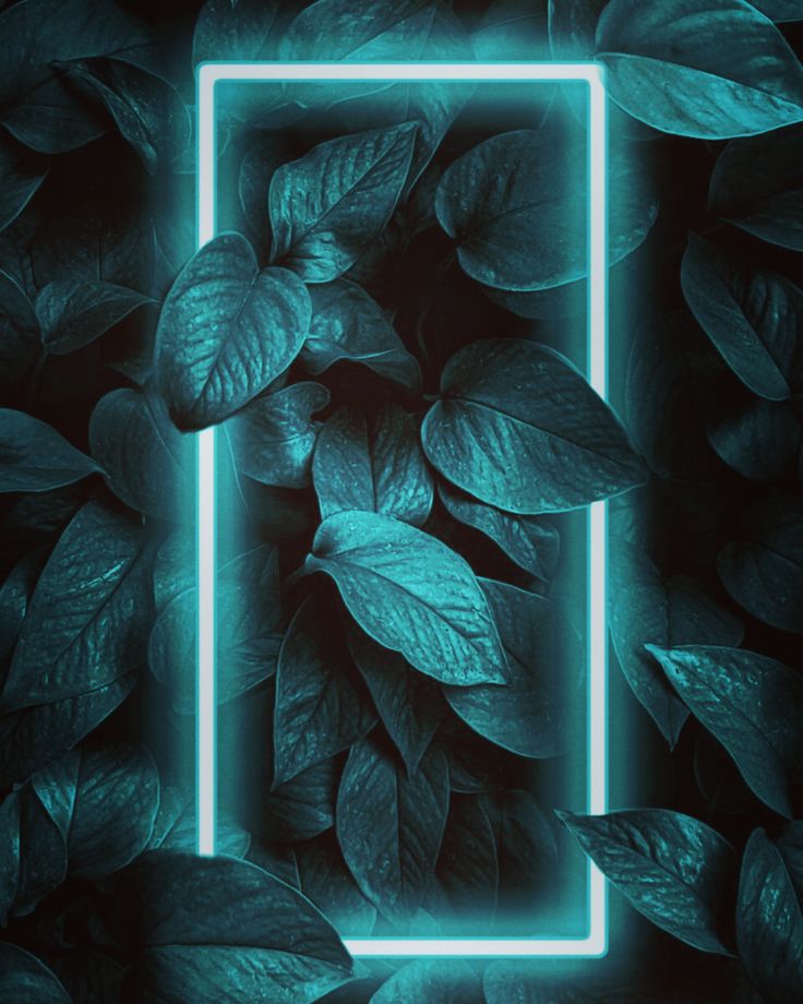 green leaves with a neon frame in the middle