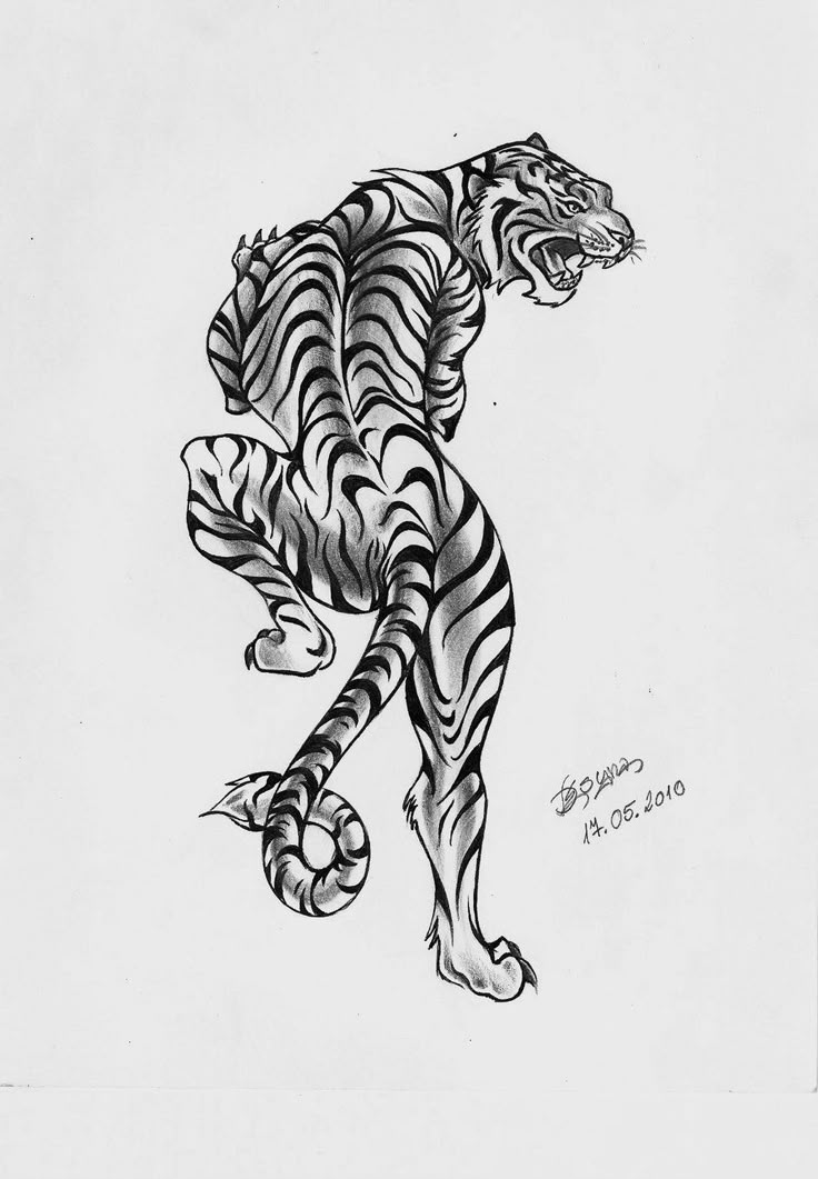 a black and white drawing of a tiger with stripes on it's back legs