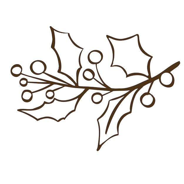 a holly branch with berries and leaves drawn in line on a white background, for christmas coloring pages