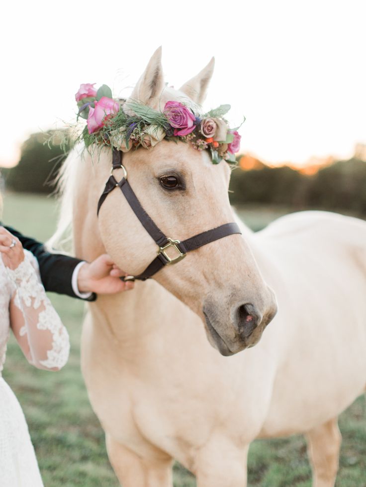 a bride and groom standing next to a white horse with flowers in their hair,