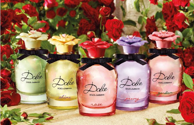 Dolce And Gabbana Fashion, Rose Absolute, Woody Notes, Rose Scented Products, Perfume Brands, Luxury Perfume, New Fragrances, Perfume Collection, New Pins