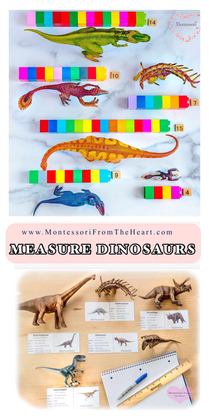 an assortment of dinosaurs and their names on a table with pencils, rulers and markers