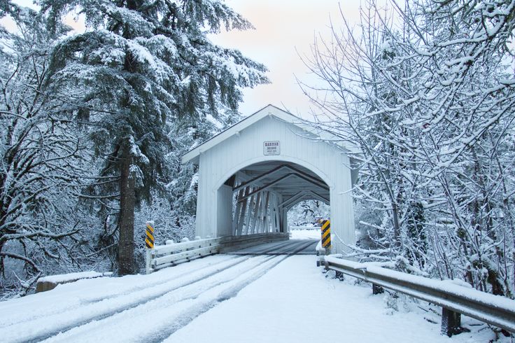 a covered bridge in the middle of winter with snow on the ground and trees around it