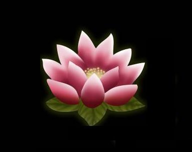 a pink lotus flower with green leaves on a black background in the middle of the image