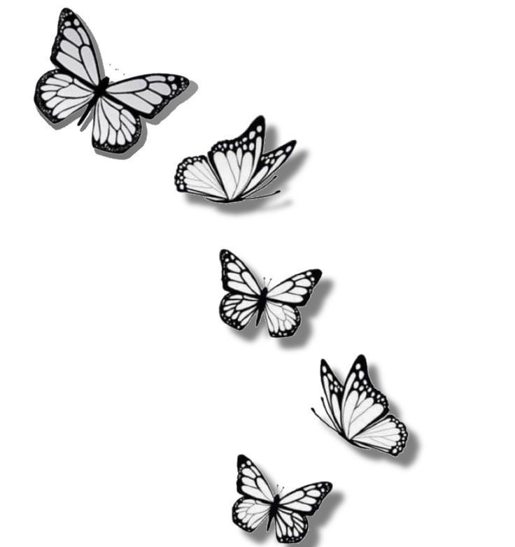 three white butterflies flying in the air with shadows on their wings, and one black and white