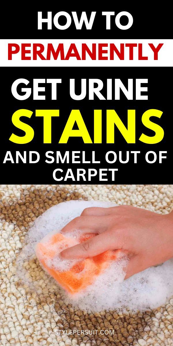 someone cleaning their carpet with the words how to permanently get urine stains and smell out of carpet