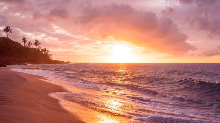 the sun is setting over an ocean with palm trees in the foreground and waves on the beach