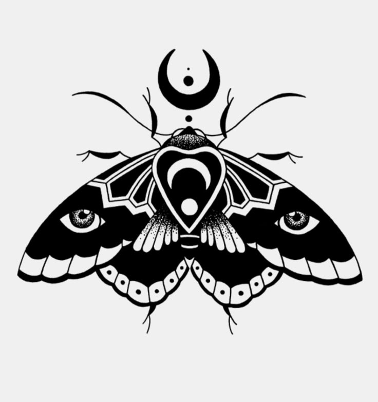 a black and white drawing of a moth with an eyeball on it's back