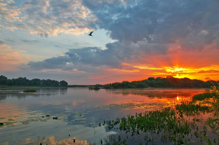 the sun is setting over some water and trees