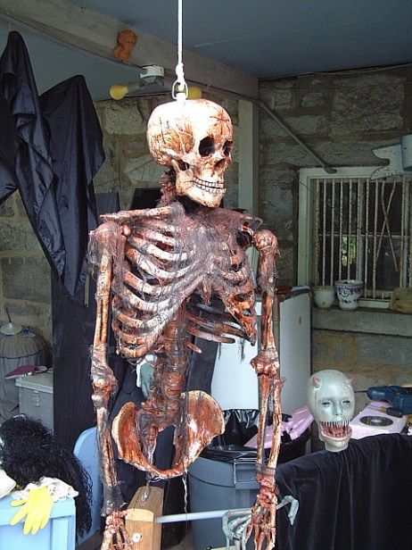 a skeleton hanging from a wire in a room with other items on the floor and walls