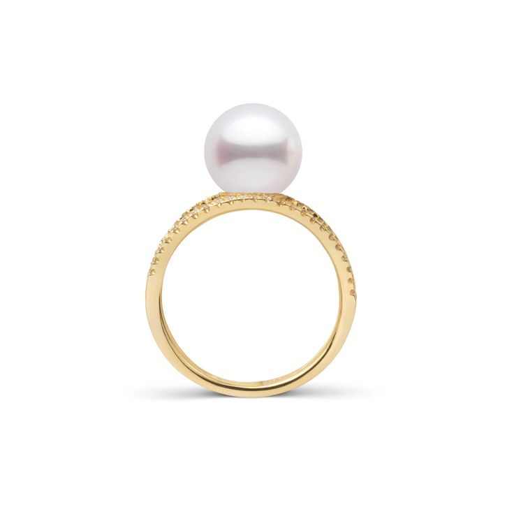 The arches of this ring bridge the 9.0-10.0 mm Freshadama pearl for a charming statement. With delicate curves of solid gold, the pearl appears to balance between the two diamond bands while being held securely in place. Freshadama pearls are sorted highest .01% of the freshwater pearl harvest each year. These pearls are exceptionally difficult to collect, and we've been proudly offering them for decades through our exclusive partnerships in Asia. With less than 5% deviation from a perfectly rou Timeless Akoya Pearl Drop Ring, Timeless Pearl Drop Rings, Formal Yellow Gold Akoya Pearl Ring, Formal Yellow Gold Pearl Rings, Timeless Yellow Gold Open Pearl Ring, Oval Yellow Gold Pearl Ring, Oval Pearl Ring In Yellow Gold, Formal Oval Akoya Pearl Rings, Oval Akoya Pearl Rings For Formal Occasions