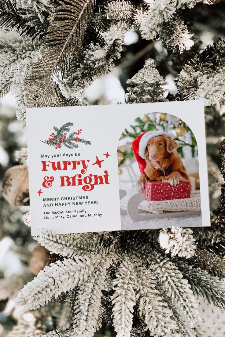 a christmas ornament hanging from the top of a tree with a dog in a basket on it