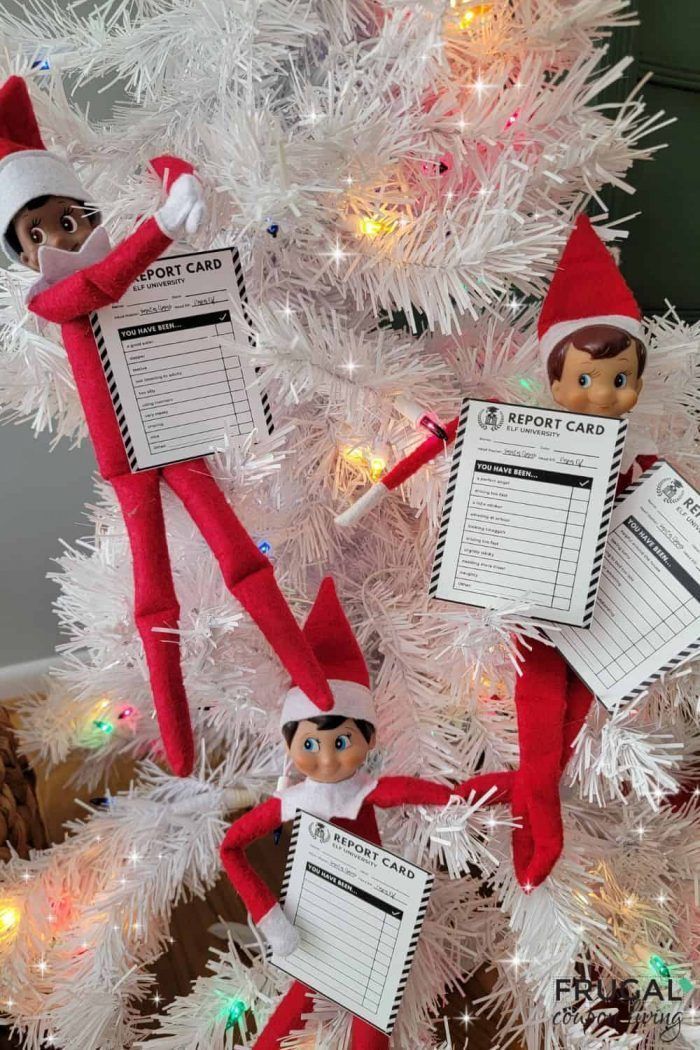 two elfs are hanging on the christmas tree and one is holding a check card