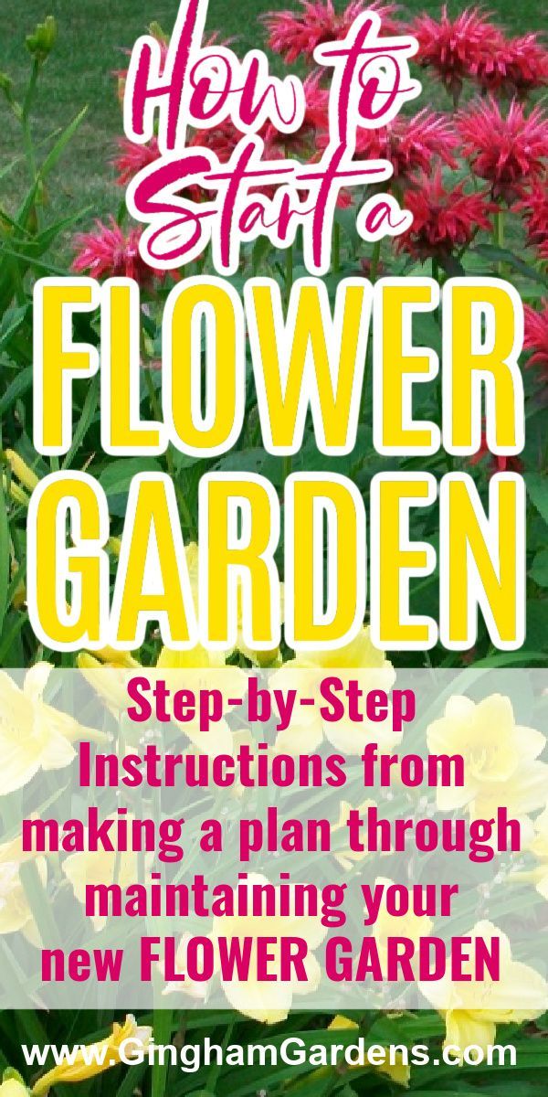 flowers with the title how to start flower garden step - by - step instructions from making a plan through new flower garden