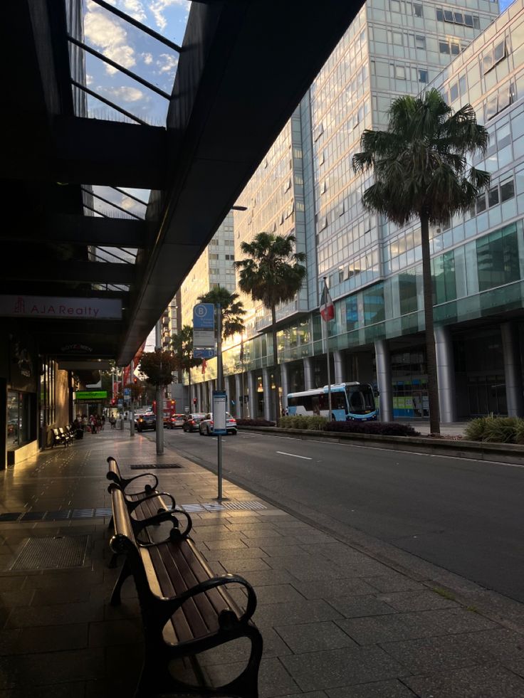 two benches sitting on the side of a street next to tall buildings and palm trees