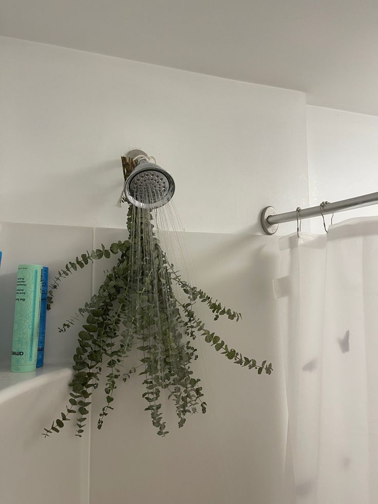 a shower head with green plants hanging from it's side and books on the shelf