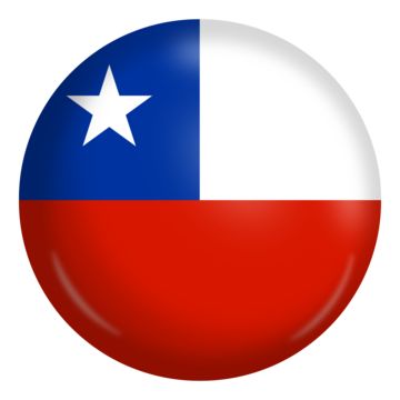 a round button with the flag of texas painted on it's center and bottom half