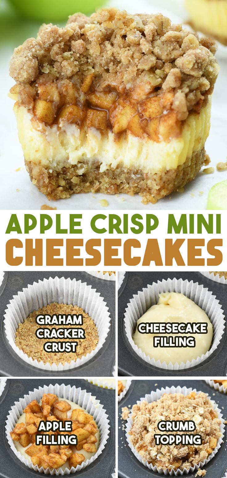 A collage showing a close-up of an Apple Crisp Mini Cheesecake with a crumbly topping, creamy cheesecake filling, and apple pieces, along with step-by-step images of the process: graham cracker crust, cheesecake filling, apple filling, and crumb topping. Fall Recipes Easy Desserts, Easy Thanksgiving Apple Desserts, Deserts To Make On Thanksgiving, Apple Crisp Cheesecake Bites, Apple Cheesecake Muffins, Apple Desserts With Apple Pie Filling, Mini Apple Pie Cheesecake Bites, Mini Apple Crumble Cheesecake, Cheesecake Apple Crumble