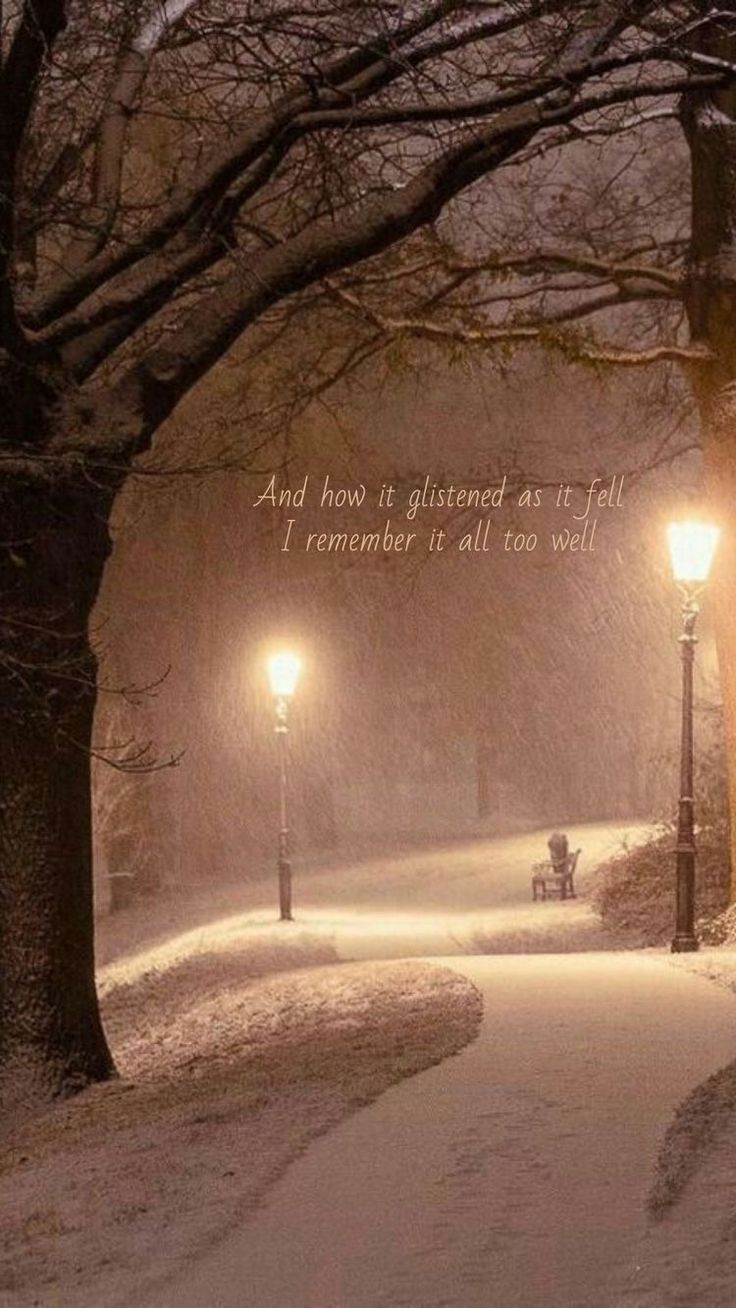 a park bench sitting on top of a snow covered ground next to trees and street lights