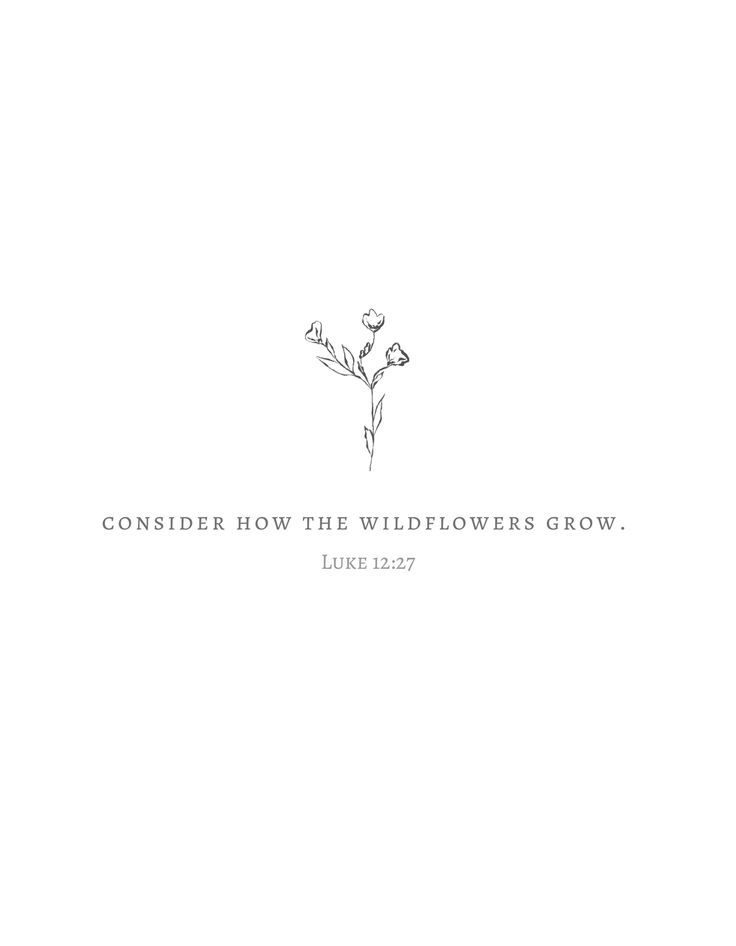 a black and white photo with the words consider how the wildflowers grow