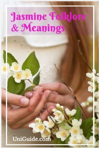 two hands holding flowers with the words jasmine fulker and meaning