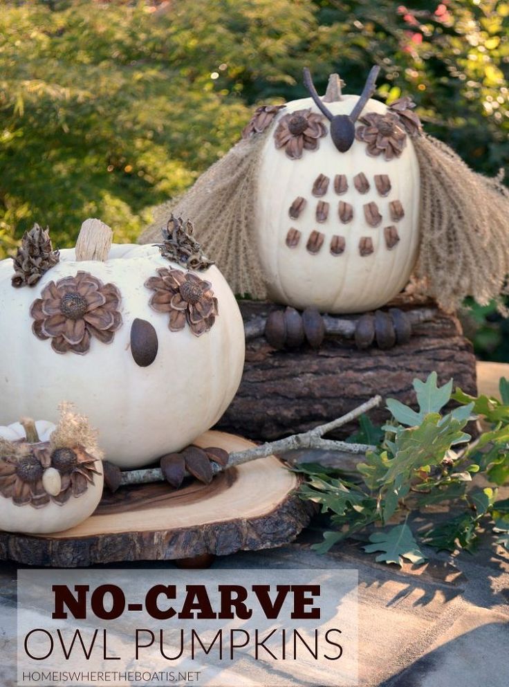 no - carve owl pumpkins with pine cones on them