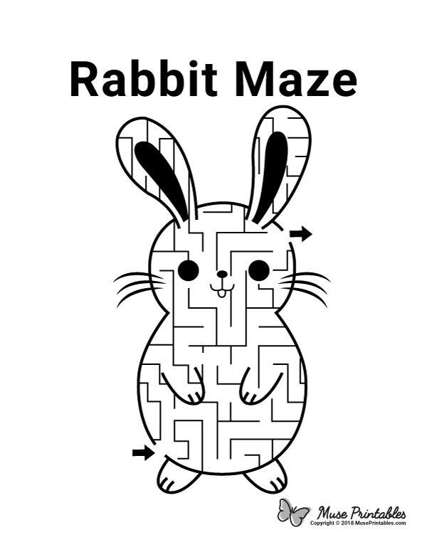 a rabbit maze with the words rabbit maze on it